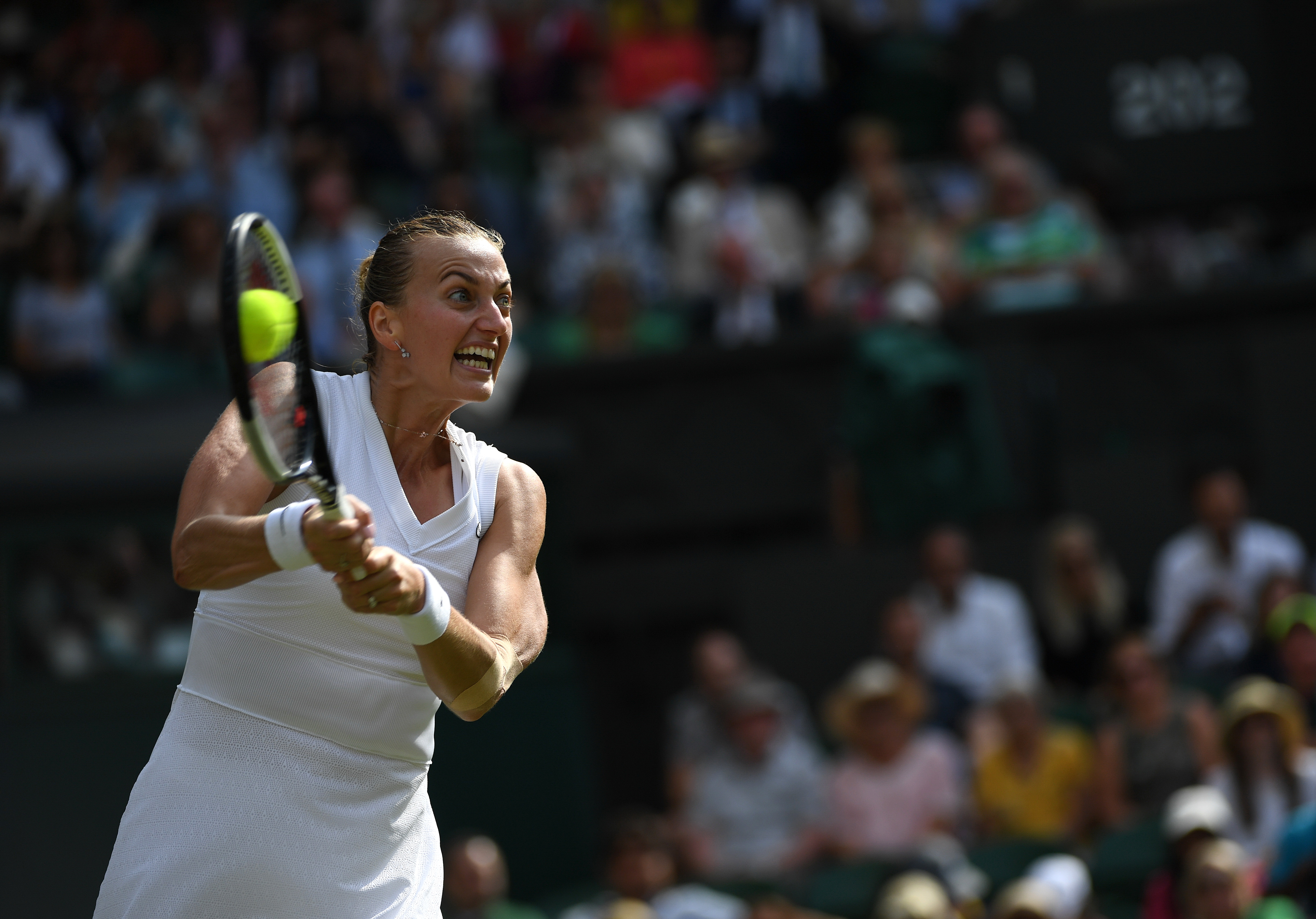 包含科维托娃迎来十赛季高光表现，IG球迷沸腾！的词条